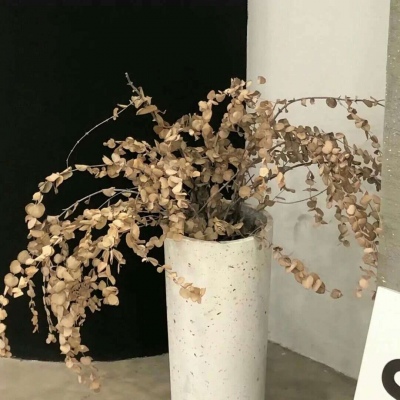 二次元兽设设计技巧兽圈社群